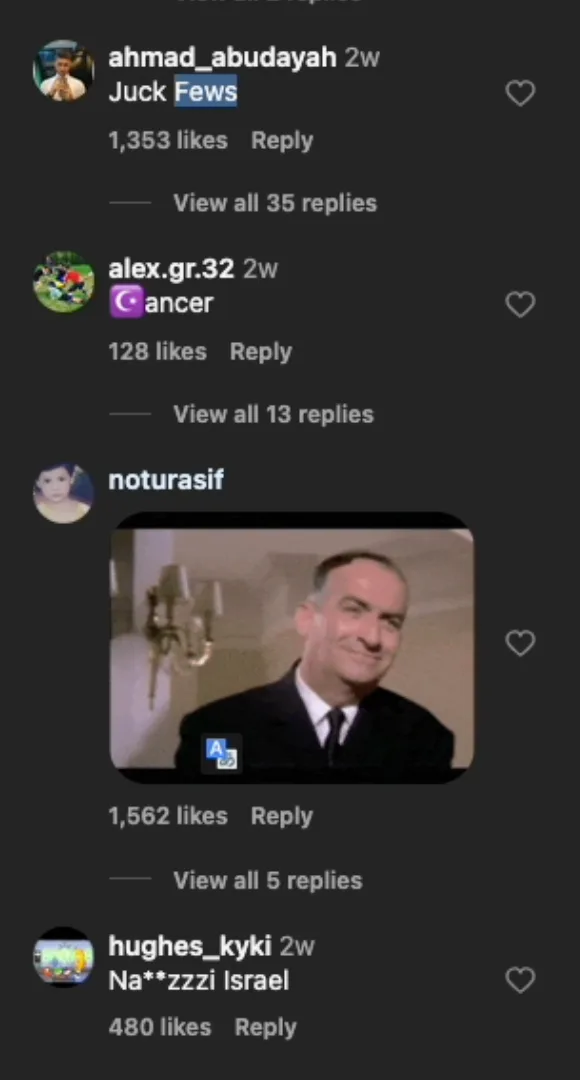 Instagram comments: spoonerisms, slurs, and Israel compared to Nazism